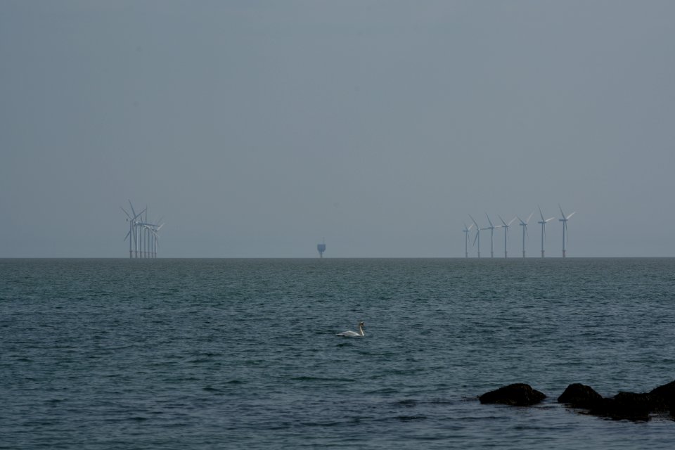 dsc 1339 38386091206 o