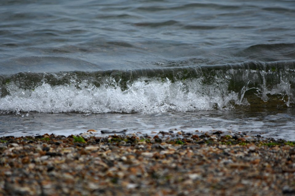 dsc 1312 26665650859 o