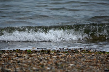 dsc 1312 26665650859 o