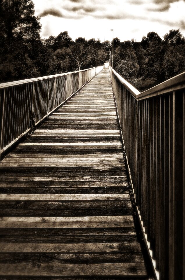 Sepia mourning abandoned