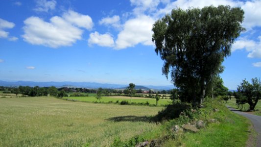 Chemin de Compostelle