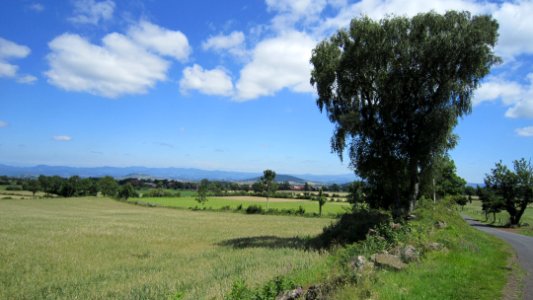 Chemin de Compostelle photo