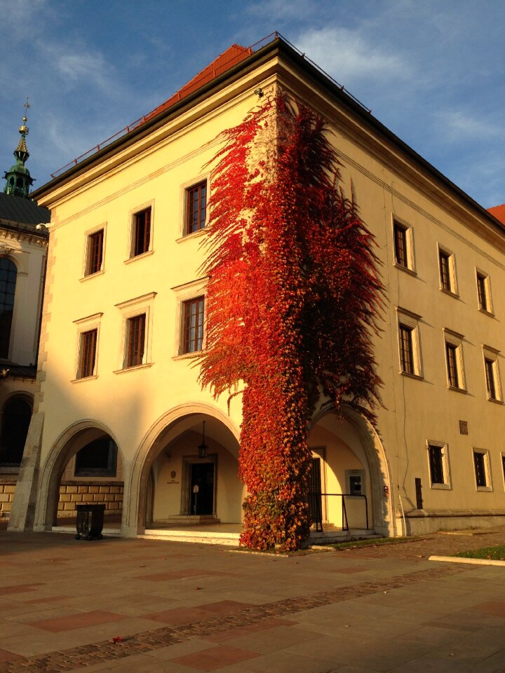 Castle monument autumn