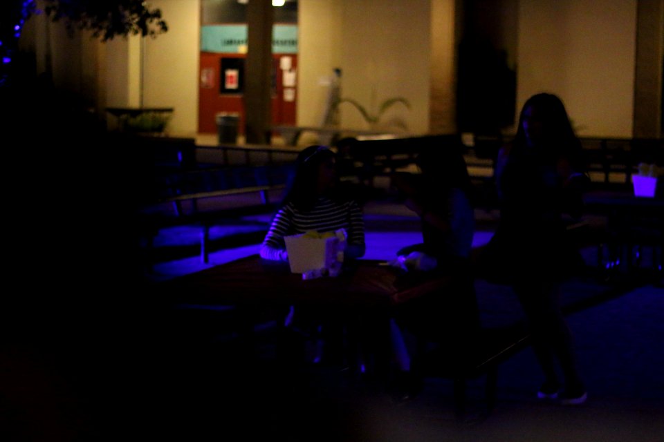 IMG 4830