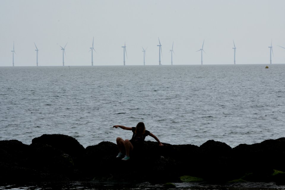 dsc 1322 38441947561 o