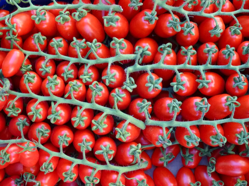 Vegetables vegetarsisch healthy
