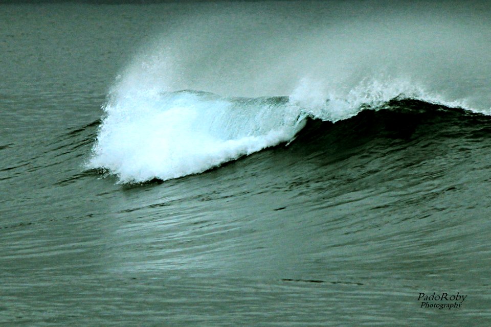 A Fleur d'Ecume....La Nouvelle Vague....Vague à l'âme....