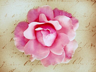 Stationery greeting card retro look