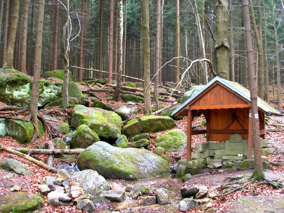 Studánka pod Borem