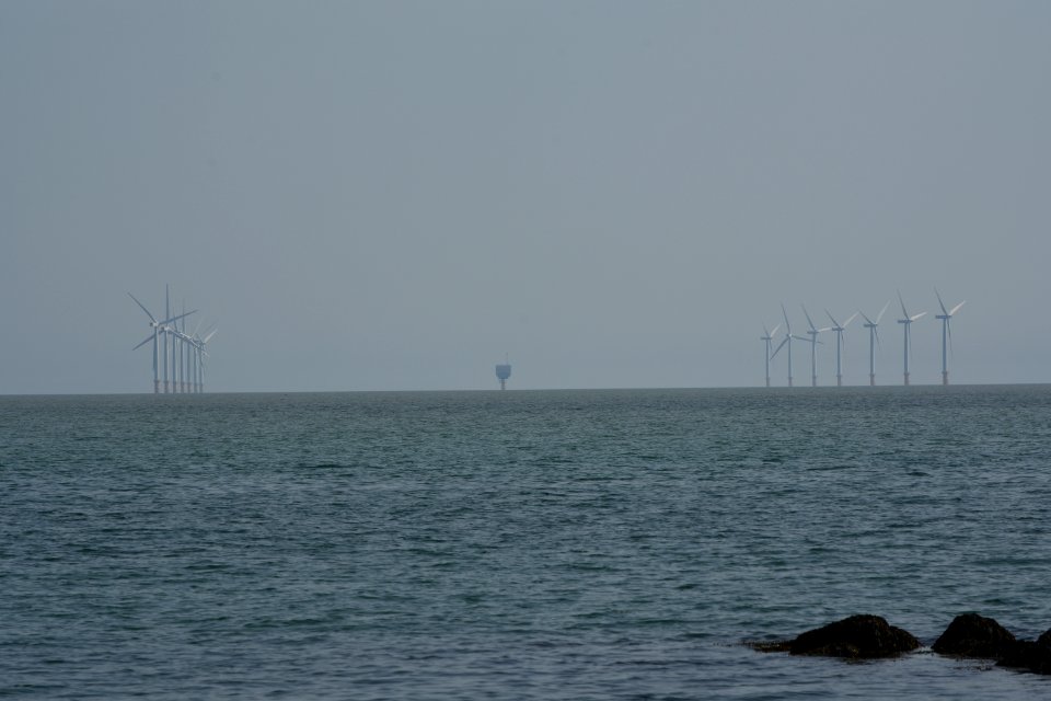 dsc 1342 38441928001 o