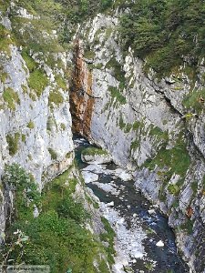 DAM2138 - Val  Dezzo - Orrido