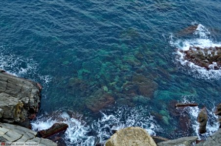 DAM1608 - Liguria - Cinque Terre