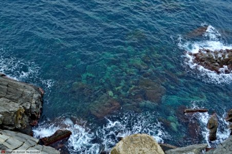 DAM1608 - Liguria - Cinque Terre photo