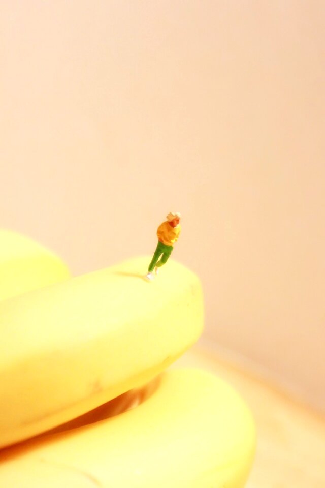 Conceptual fruit people