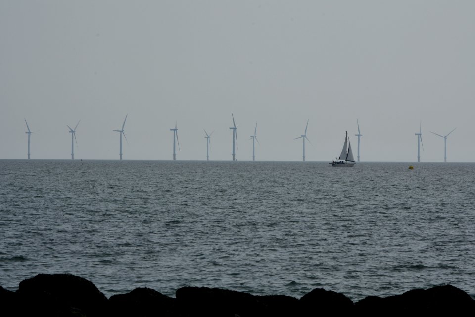 dsc 1300 26665653249 o