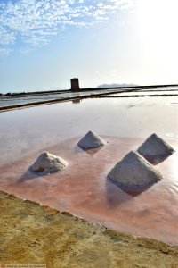DAM1772 - Sicilia - Saline di Trapani