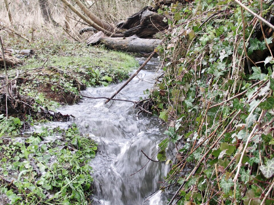 Splash landscape watercourse