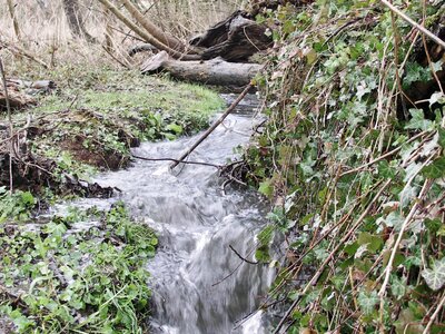 Splash landscape watercourse