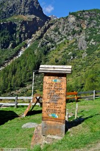 DAM1708 - Saggezza popolare