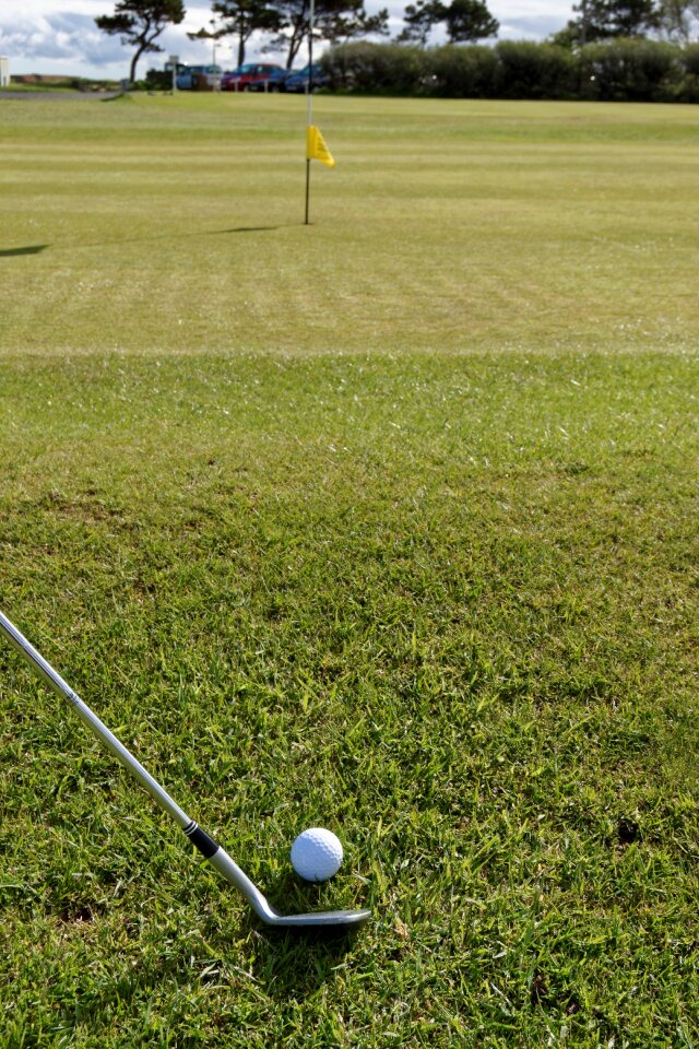 Golf club grass sport