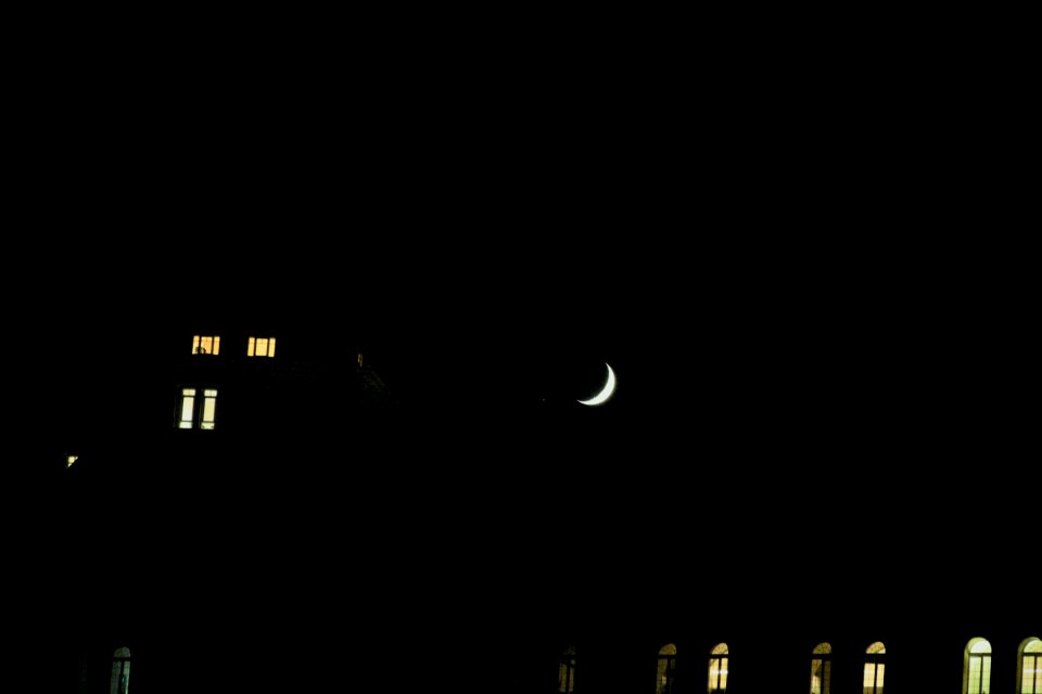 dsc 1701-2 37752577115 o