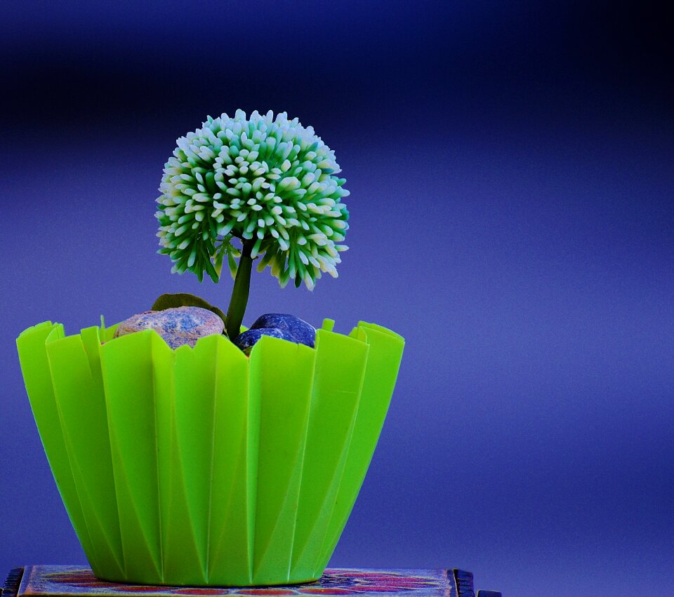 Green flower nature