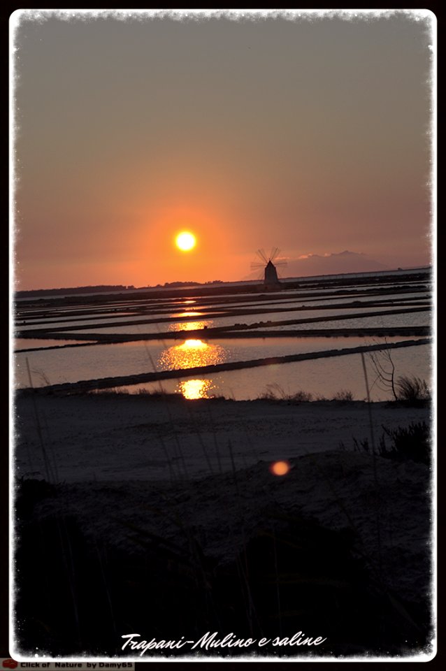 DAM1643 - Sicilia - Saline - Sole e sale.jpg