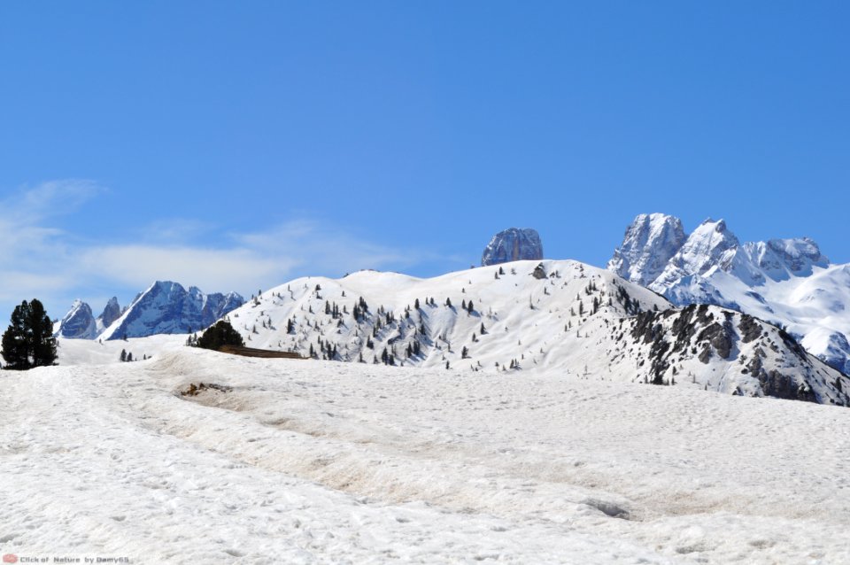 DAM1725 - Dolomiti - Prato Piazza