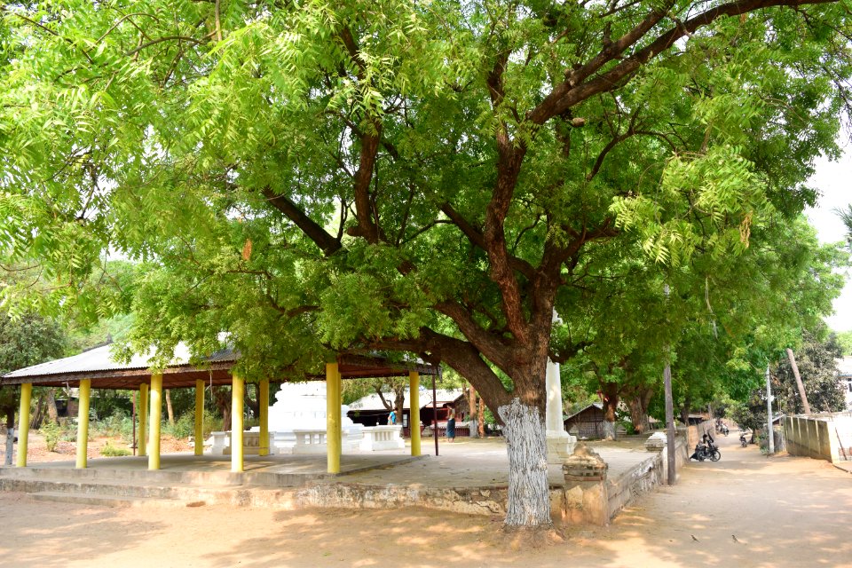 DSC 0673