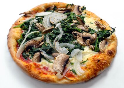 Vegetarian vegetable pizza pizza topping photo