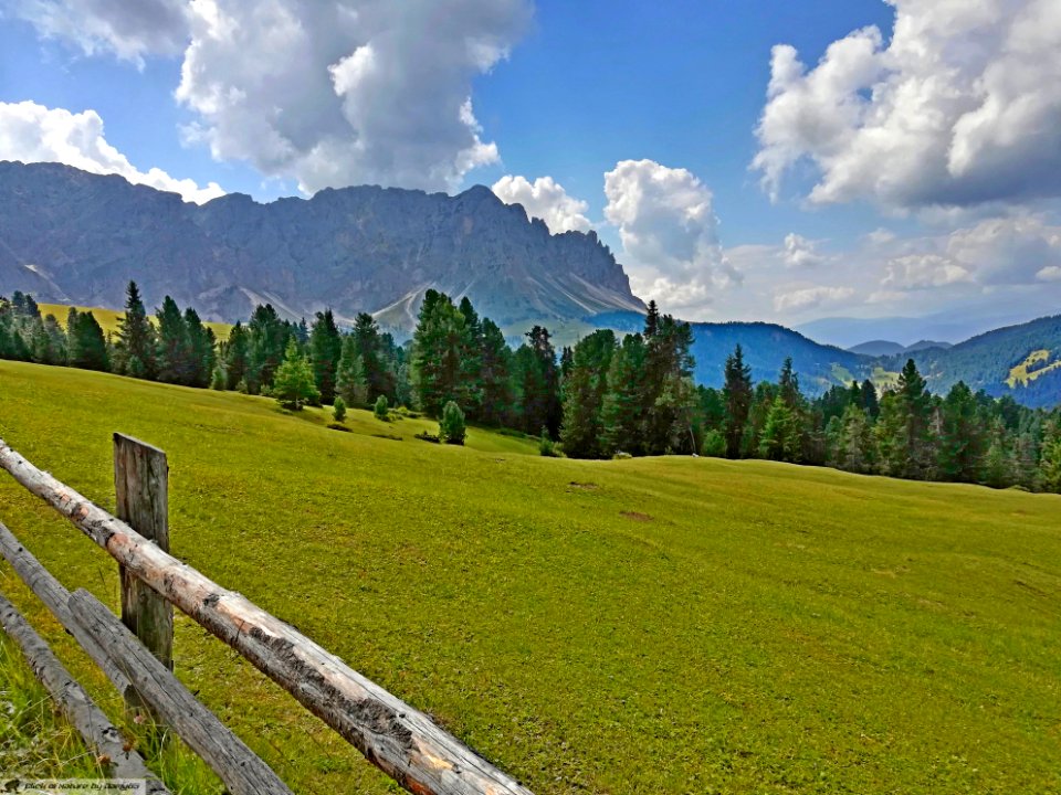 DAM1939 - Passo delle Erbe e le Odle