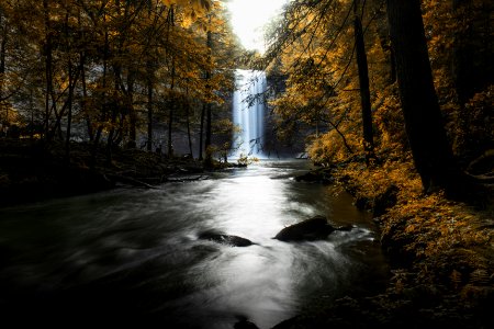 Falls in woods