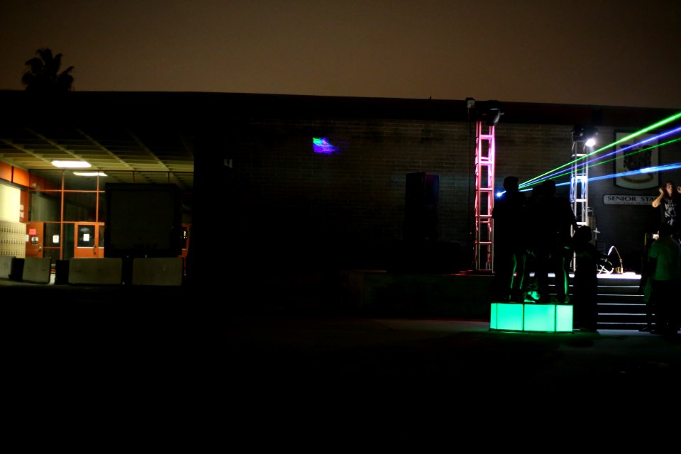 IMG 9987