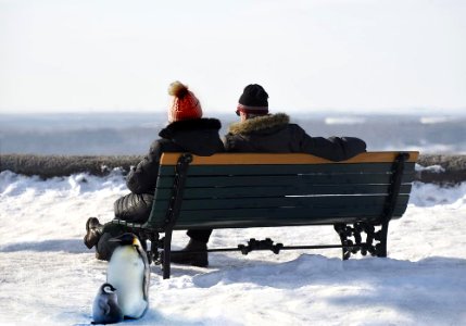 Snow Bench couple photo