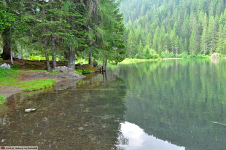 DAM1542 - Val di Sole - Lago dei caprioli