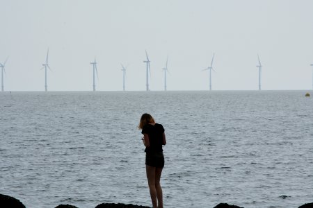 dsc 1319 37726932444 o