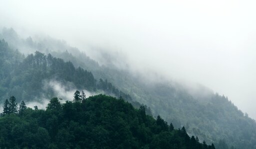 Nature landscape fog photo