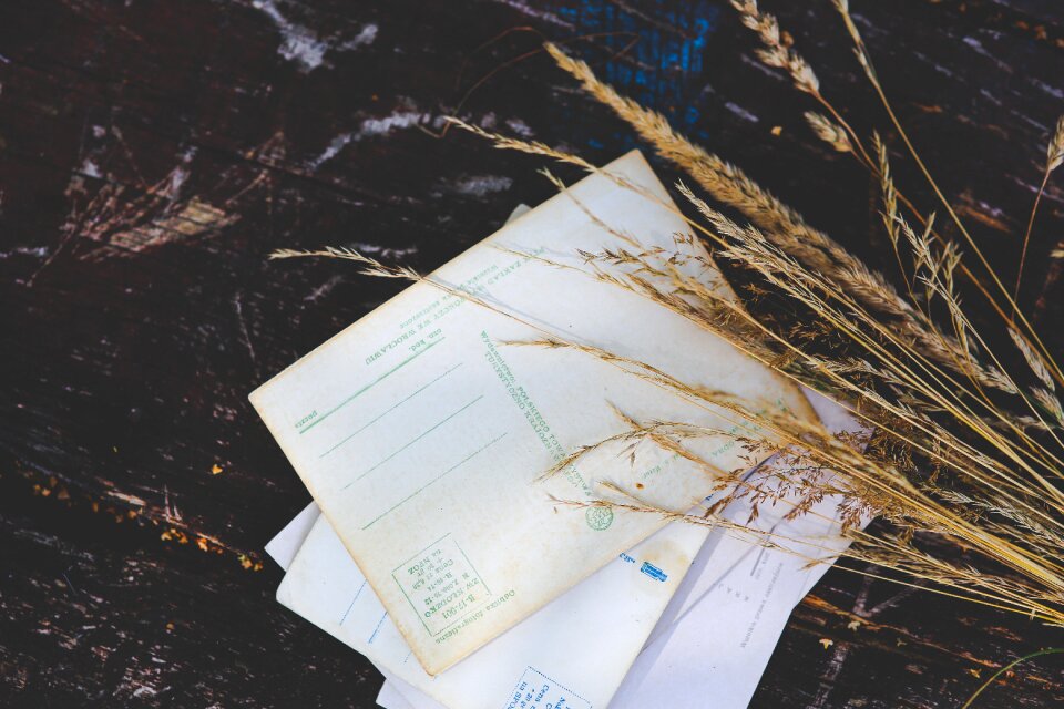 Postcards old paper vacation