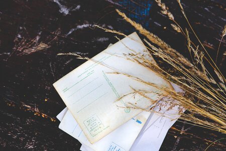 Postcards old paper vacation