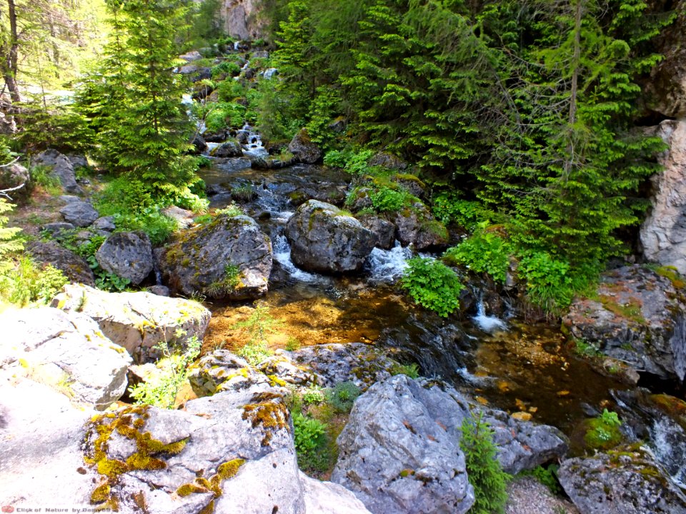 DAM1766 - Torrente di montagna