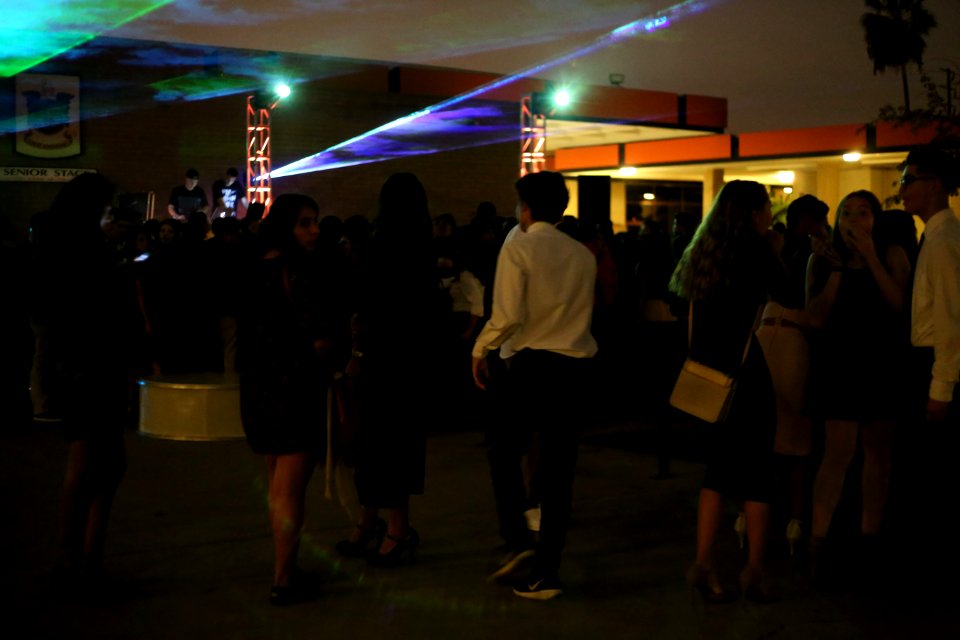 IMG 9651