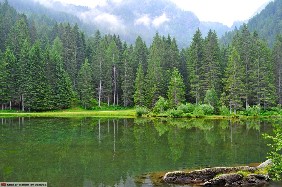 DAM1544 - Val di Sole - Riflessi nel lago