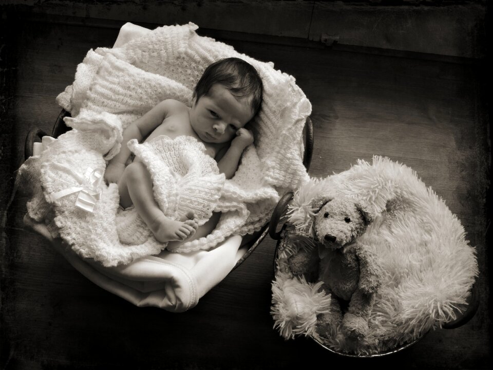 Baby cute brown board