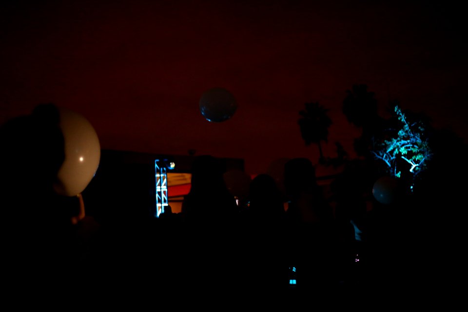 IMG 9915