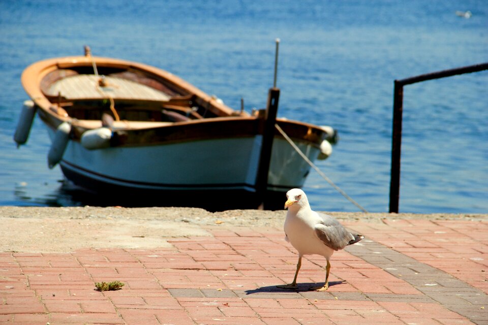 Boat fishing boat lake