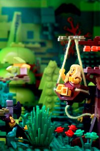 The Swing
