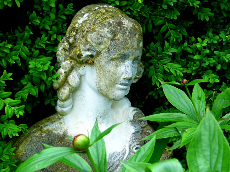 Sculpture face head