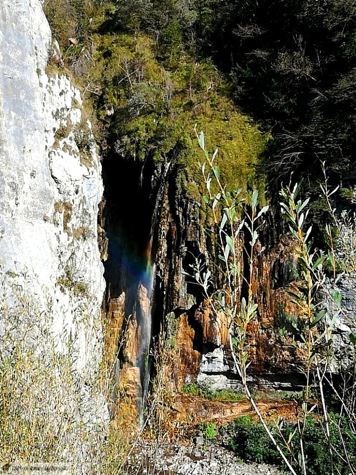 DAM2141 - Val  Dezzo - Orrido