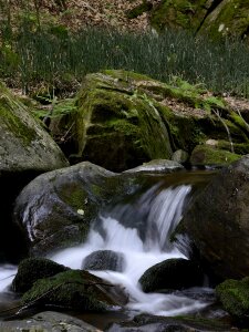 Teigitsch landscape nature