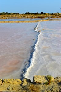DAM1773 - Sicilia - Striscia di sale